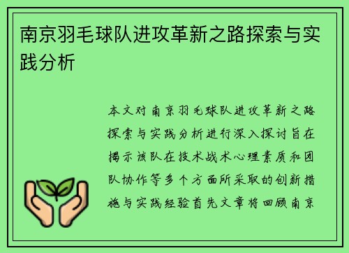 南京羽毛球队进攻革新之路探索与实践分析
